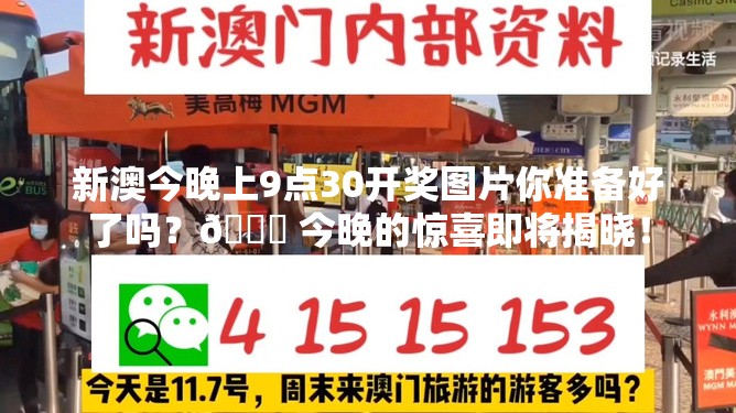 新澳今晚上9点30开奖图片你准备好了吗？🎉 今晚的惊喜即将揭晓！