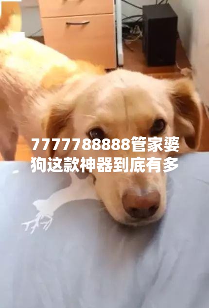 7777788888管家婆狗这款神器到底有多香？看完我直接破防了！