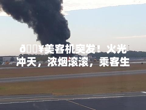 🔥美客机突发！火光冲天，浓烟滚滚，乘客生死瞬间曝光😱