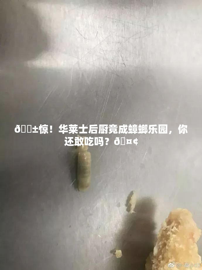 😱惊！华莱士后厨竟成蟑螂乐园，你还敢吃吗？🤢