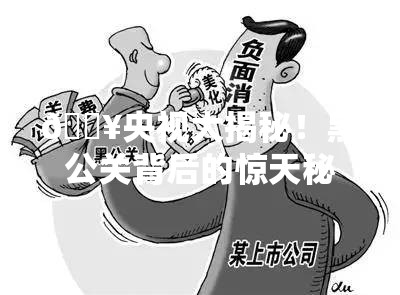 央视起底黑公关