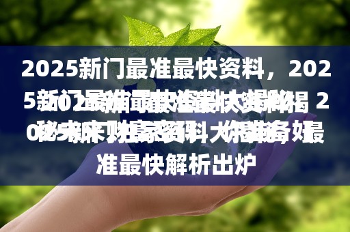 2025新门最准最快资料揭秘未来财富密码，你准备好了吗？