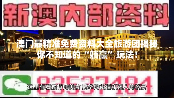 澳门最精准免费资料大全旅游团揭秘你不知道的“躺赢”玩法！