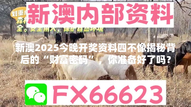 新澳2025今晚开奖资料四不像揭秘背后的“财富密码”，你准备好了吗？