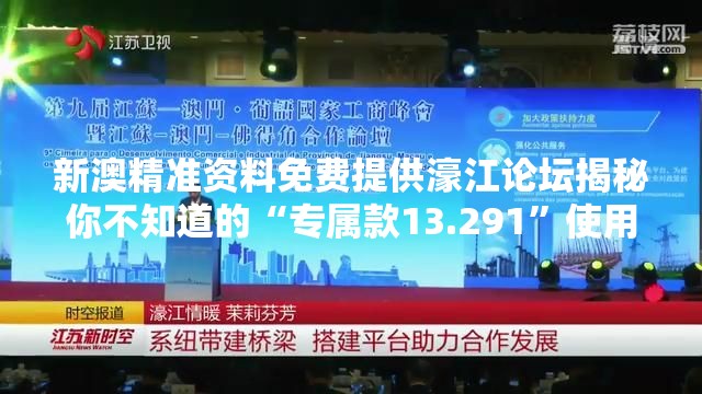 新澳精准资料免费提供濠江论坛揭秘你不知道的“专属款13.291”使用攻略！