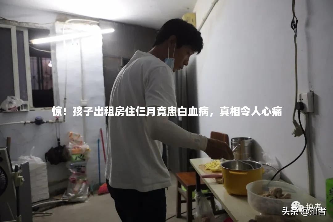 惊！孩子出租房住仨月竟患白血病，真相令人心痛