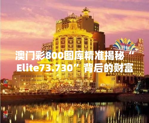 澳门彩800图库精准揭秘“Elite73.730”背后的财富密码，你准备好了吗？