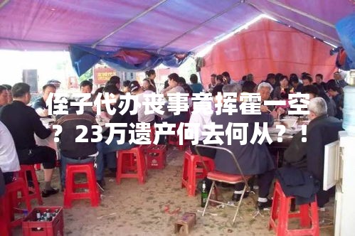 侄子代办丧事竟挥霍一空？23万遗产何去何从？！