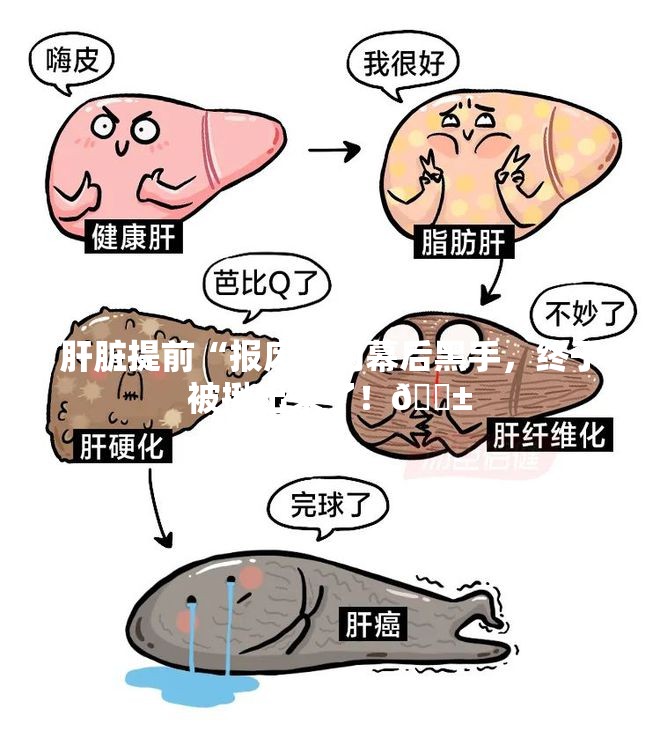 肝脏提前“报废”的幕后黑手，终于被揪出来了！😱