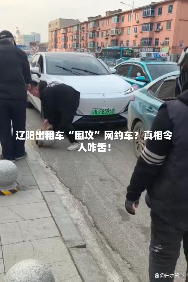 辽阳出租车“围攻”网约车？真相令人咋舌！