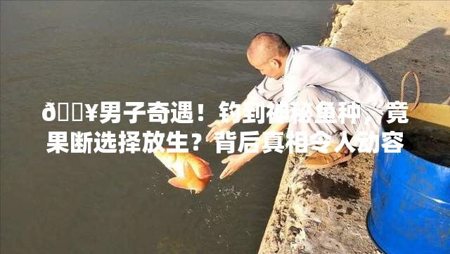 🔥男子奇遇！钓到神秘鱼种，竟果断选择放生？背后真相令人动容！🎣