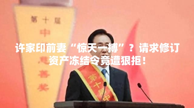 许家印前妻“惊天一搏”？请求修订资产冻结令竟遭狠拒！