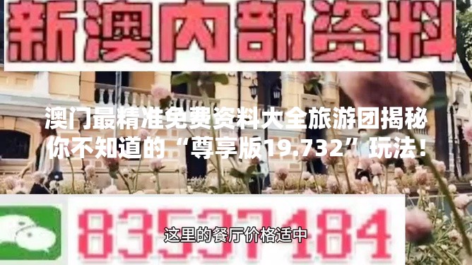 澳门最精准免费资料大全旅游团揭秘你不知道的“尊享版19.732”玩法！