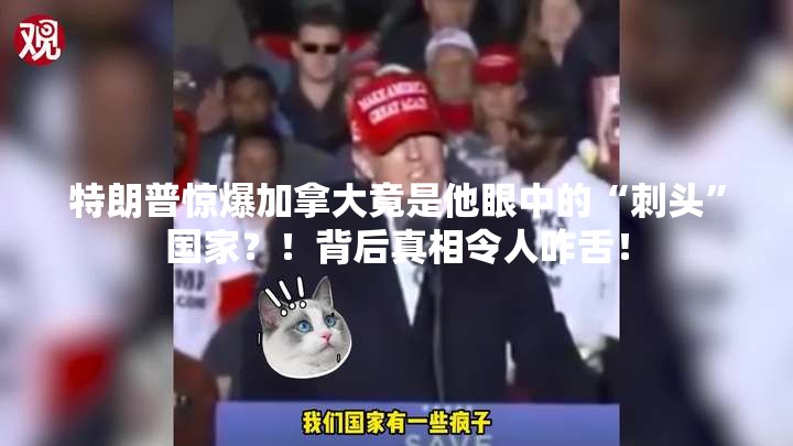 特朗普惊爆加拿大竟是他眼中的“刺头”国家？！背后真相令人咋舌！