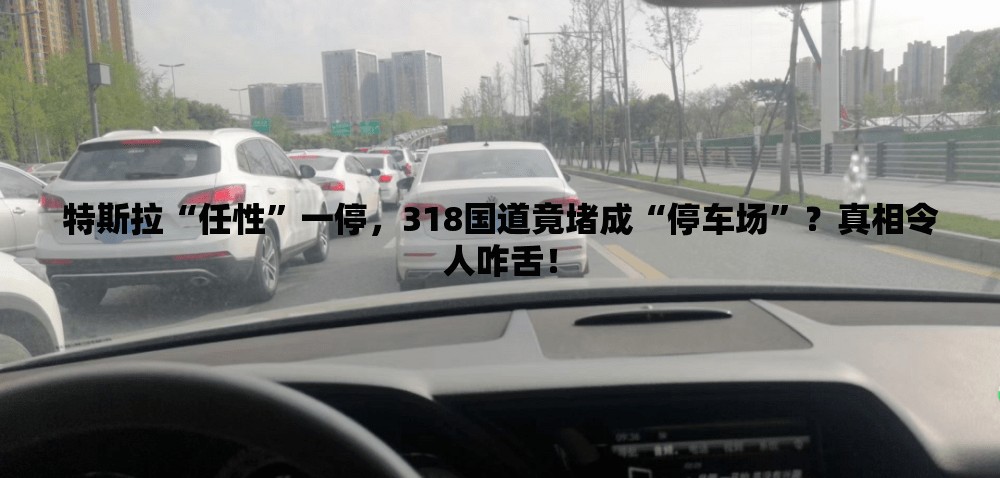 特斯拉“任性”一停，318国道竟堵成“停车场”？真相令人咋舌！