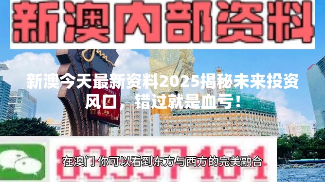 新澳今天最新资料2025揭秘未来投资风口，错过就是血亏！