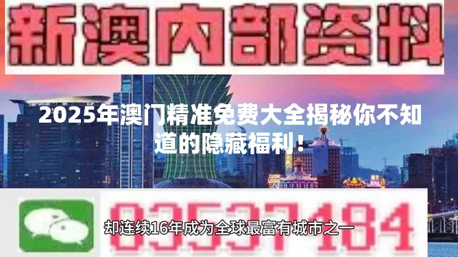 2025年澳门精准免费大全揭秘你不知道的隐藏福利！