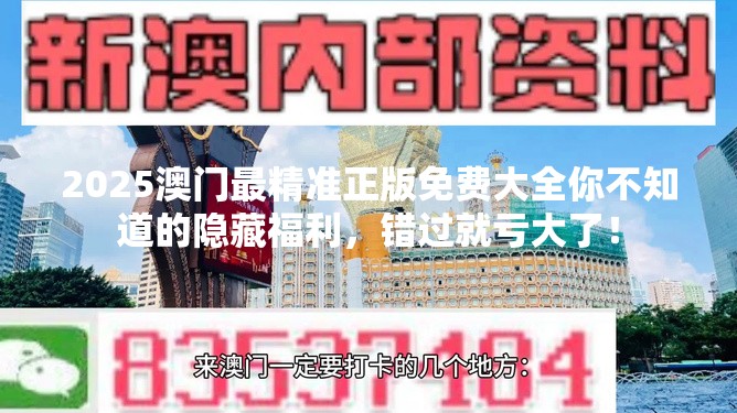 2025澳门最精准正版免费大全你不知道的隐藏福利，错过就亏大了！