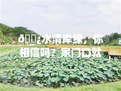 🌿水清岸绿，你相信吗？家门口就藏着“诗和远方”的秘密花园🌸