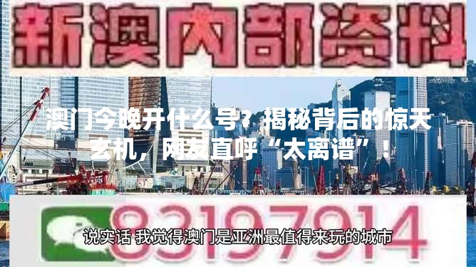 澳门今晚开什么号？揭秘背后的惊天玄机，网友直呼“太离谱”！