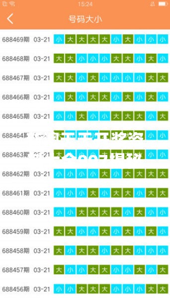 新澳天天开奖资料大全997揭秘背后的“暴富密码”，你准备好了吗？