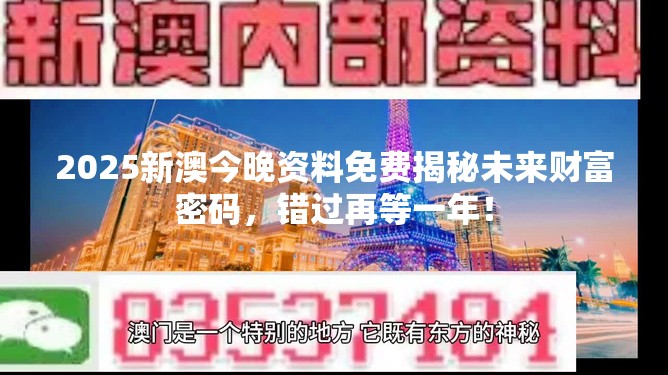 2025新澳今晚资料免费揭秘未来财富密码，错过再等一年！