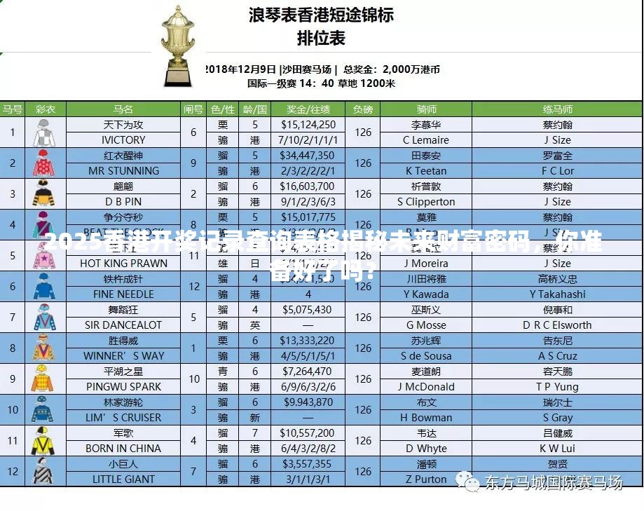 2025香港开奖记录查询表格揭秘未来财富密码，你准备好了吗？