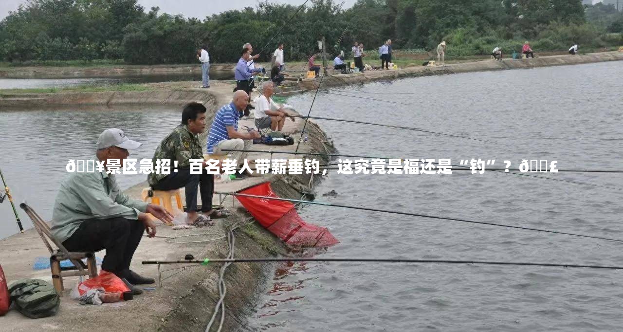 🔥景区急招！百名老人带薪垂钓，这究竟是福还是“钓”？🎣