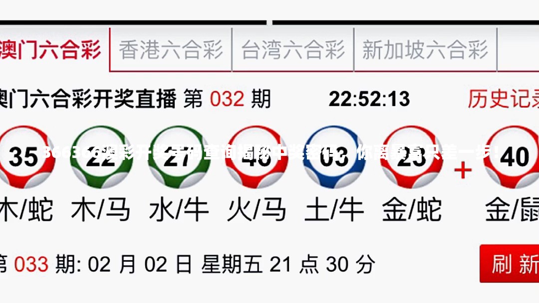 366366澳彩开奖号码查询揭秘中奖密码，你离暴富只差一步！