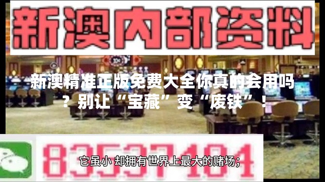 新澳精准正版免费大全你真的会用吗？别让“宝藏”变“废铁”！